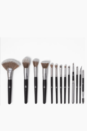 BH Studio Pro Makeup Brush Set